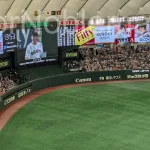東京ドーム 指定席Ｄ ３塁側 21 列 341 番からの見え方東京ドーム 指定席Ｄ ３塁側 21 列 341 番からの見え方