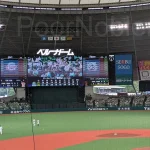 ベルーナドーム アメリカン・エキスプレス プレミアム® シートA 206ブロック 15段 35番からの見え方